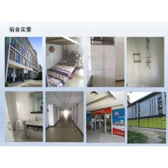 北京電子廠  招聘  女158以上，男165以上，年齡16-40歲