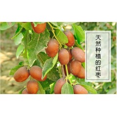 新疆 喀什 疆果果 果真混的好600g/箱    每日堅(jiān)果